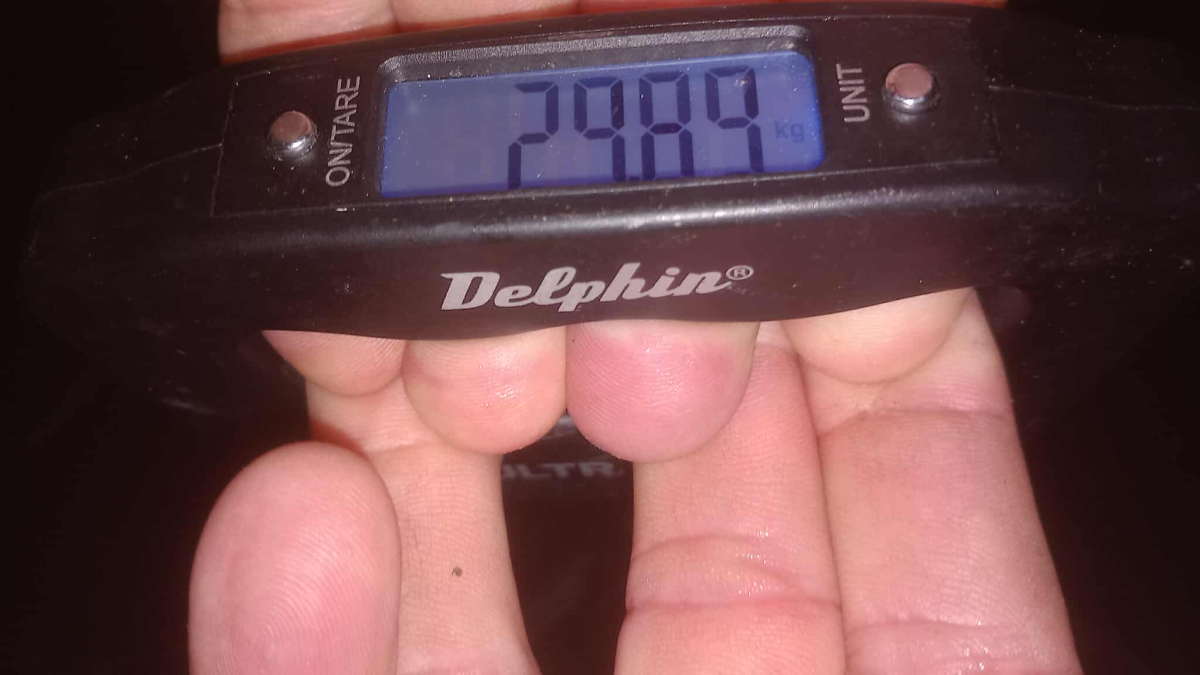 29_9kg_90cm_ponty_merleg