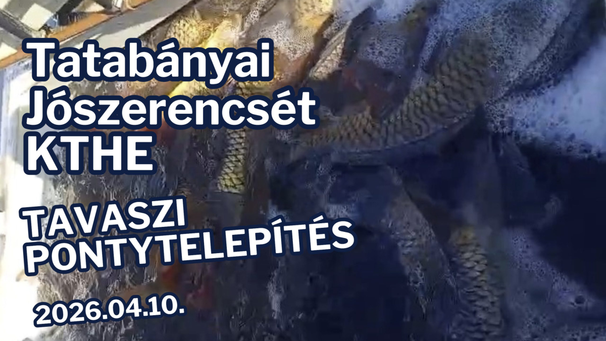 tavszi pontytelepites