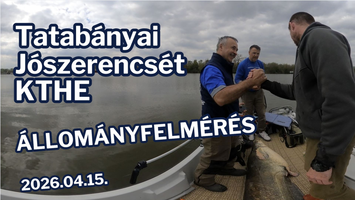 allomanyfelmeres